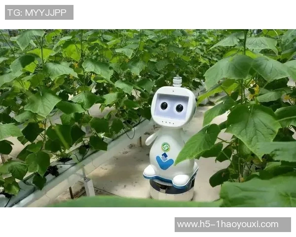 南宫娱乐-南宫娱乐,探索现代娱乐的新维度-南宫娱乐 南宫娱乐-南宫娱乐,探索现代娱乐的新维度-南宫娱乐